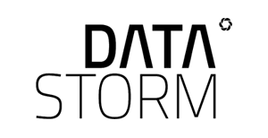 logo DataStorm