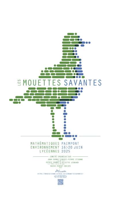 affiche mouettes savantes